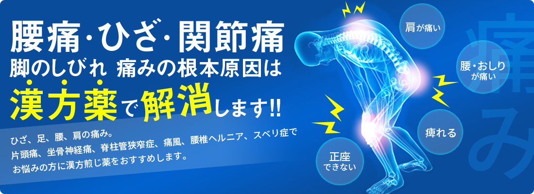 腰痛・ひざ・関節痛　脚のしびれ　痛みの根本原因は漢方薬で解消します。