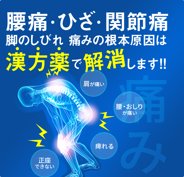 腰痛・ひざ・関節痛　脚のしびれ　痛みの根本原因は漢方薬で解消します。