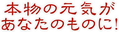 本物の元気があなたのものに!